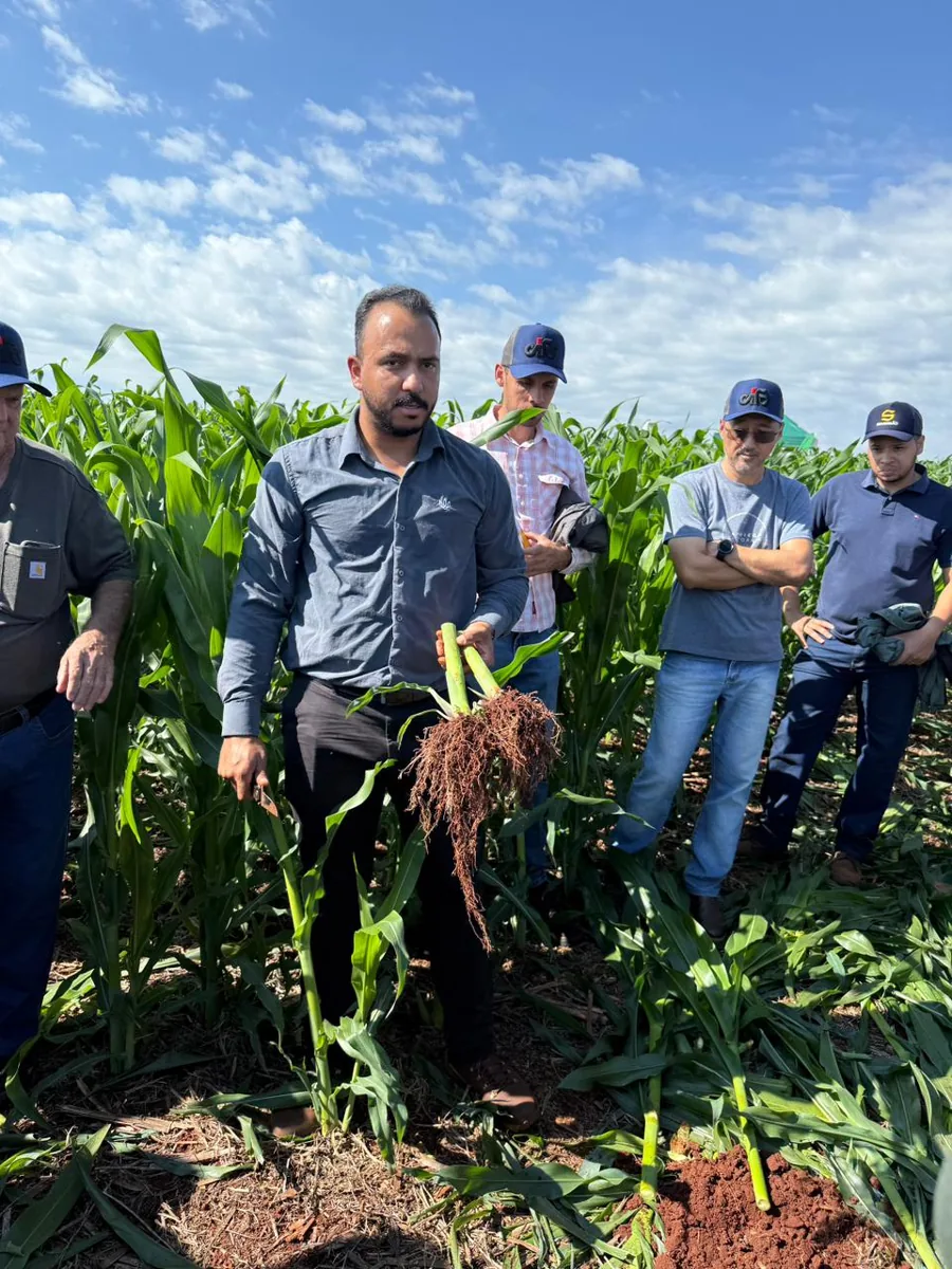 Consultoria agronômica