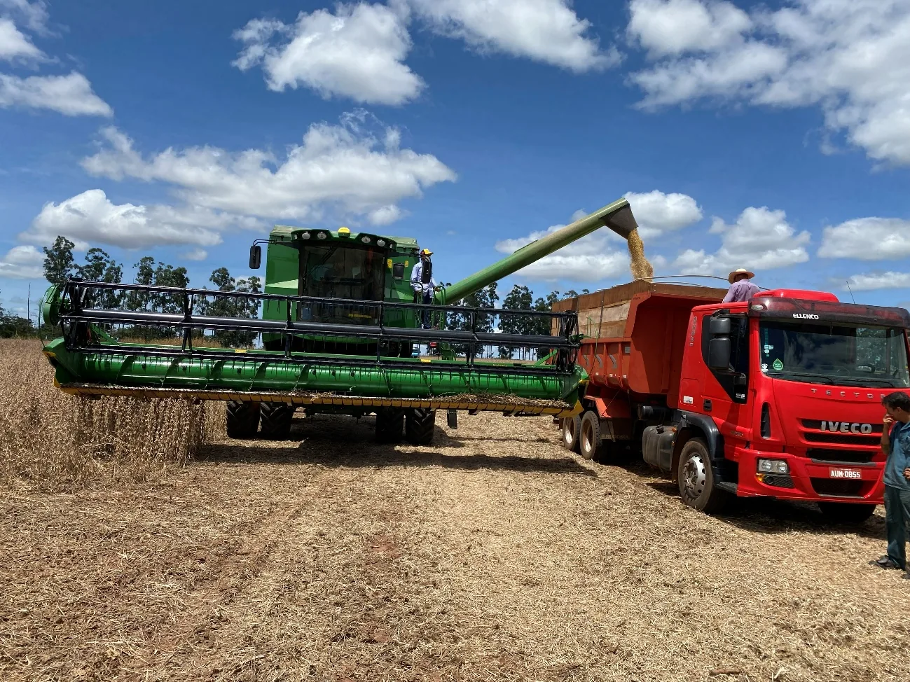 Trabalho de campo Brasil Raiz